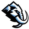  Utah Hockey Club